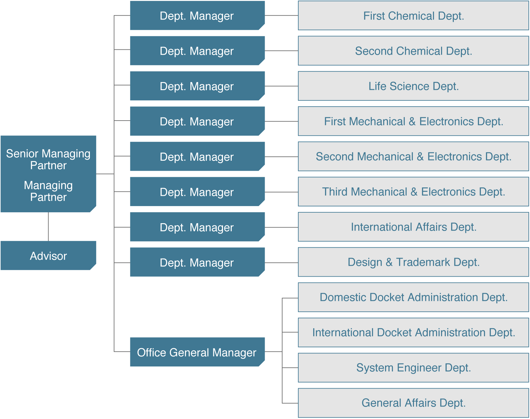 Organizational Structure